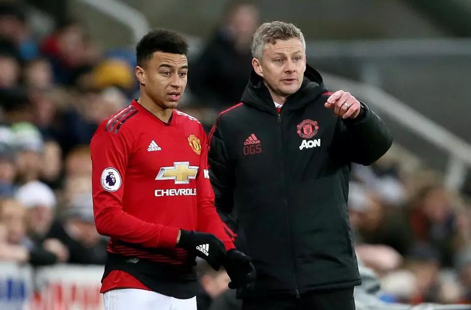 平和运动的 平和运动的